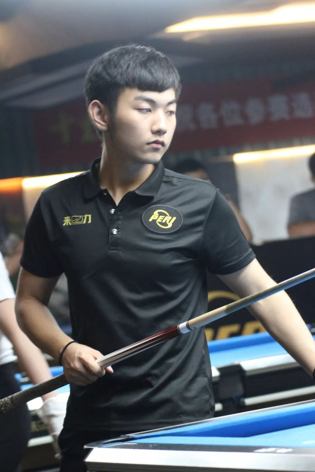 面对上海海 面对上海海