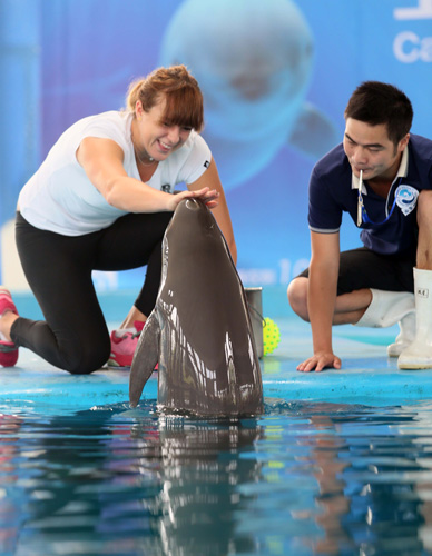 衡联盟的竞 衡联盟的竞